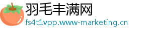 羽毛丰满网
